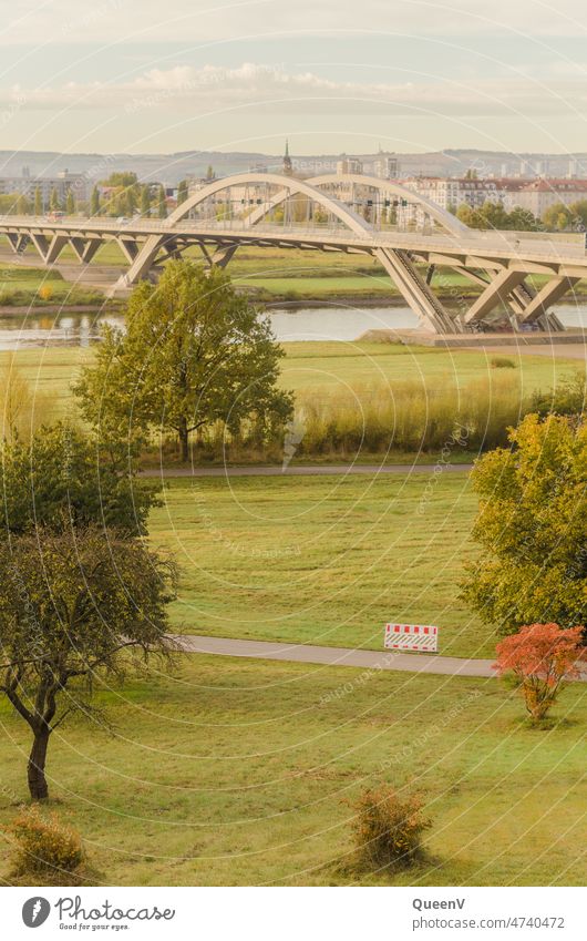 Waldschlößchen bridge in Dresden in autumn Autumn waldschlösschen bridge Elbufer Exterior shot Transport Means of transport car Saxony Street Bridge