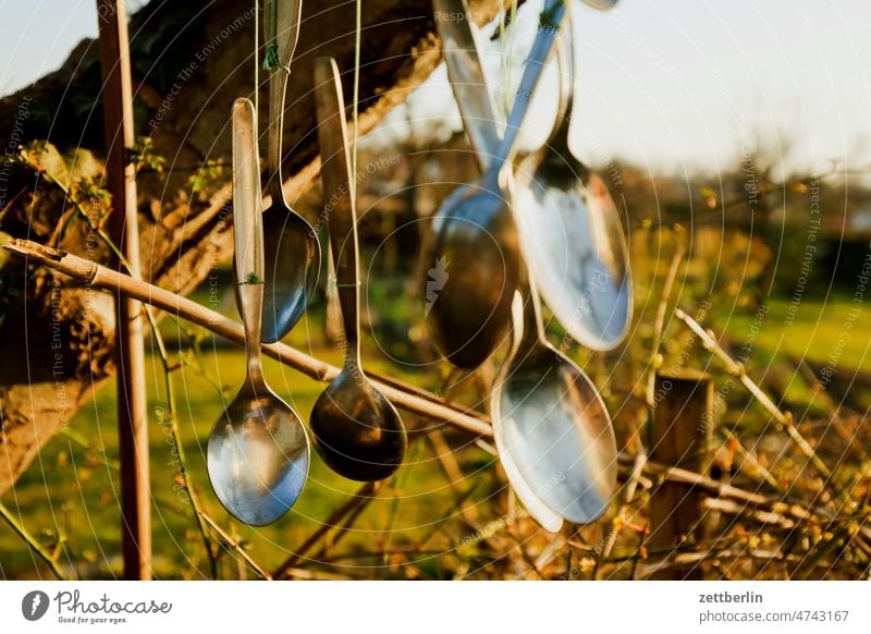 Wind chime in apple tree (spoon) Evening Branch Tree jingling jingle Dark Twilight Relaxation awakening holidays spring Spring spring awakening Garden Sky Hang