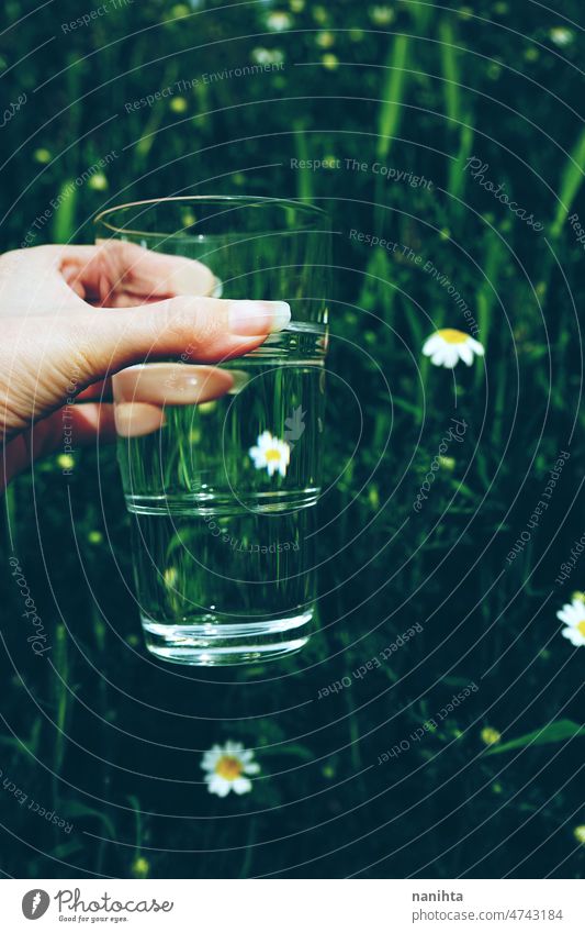 Hnd holding a glass full of pure water in nature abstract weather flower rain purity mineral green natural climate change transparent background grass simple