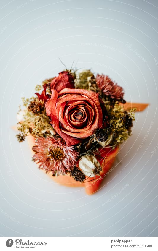 withered bouquet Bouquet Flower withered plant faded flowers Plant Blossom Decoration Interior shot Bird's-eye view Nature pink Flowerpot Leaf Red Orange