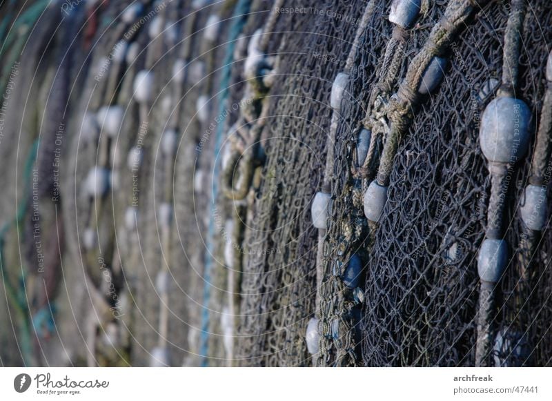 On the net Fishing net Schleswig-Holstein Arnis Schlei Coast Ocean Winter Net North Baltic Sea North Sea