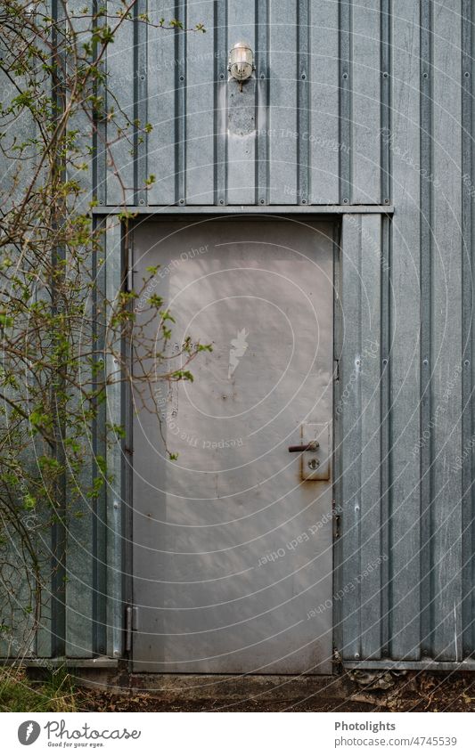 Gray metal door and blue outer wall with shrub on the left side Metal door exterior facade leaves Delicate Green Blue Lamp Light Entrance Exterior shot Deserted