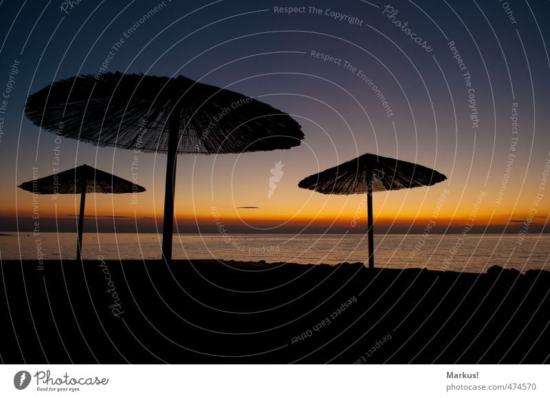 parasol Exotic Happy Vacation & Travel Sun Ocean Nature Sky Cloudless sky Horizon Sunrise Sunset Summer Beautiful weather Warmth Coast Joie de vivre (Vitality)