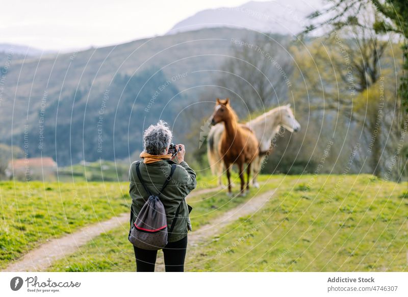 Faceless woman taking photo of horses take photo photography nature path animal countryside equine photo camera photographer memory moment hobby grassland