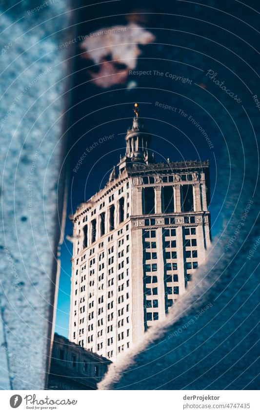 Skyscrapers in a puddle in Manhattan New York Central perspective Deep depth of field Sunlight Reflection Contrast Shadow Light Day Copy Space middle