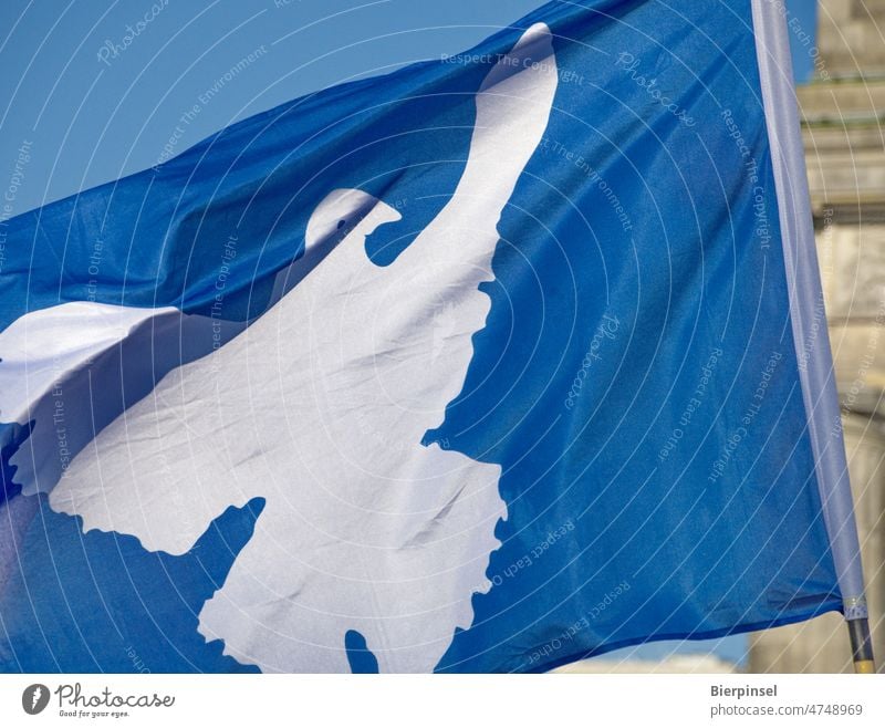 A flag with a dove of peace is waved at the Brandenburg Gate in Berlin for the "Sound of peace" rally on February 20, 2022 Pigeon Dove of peace Blue White