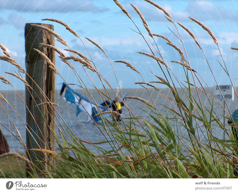 kite life Kiting kiteboarding Wind Funsport