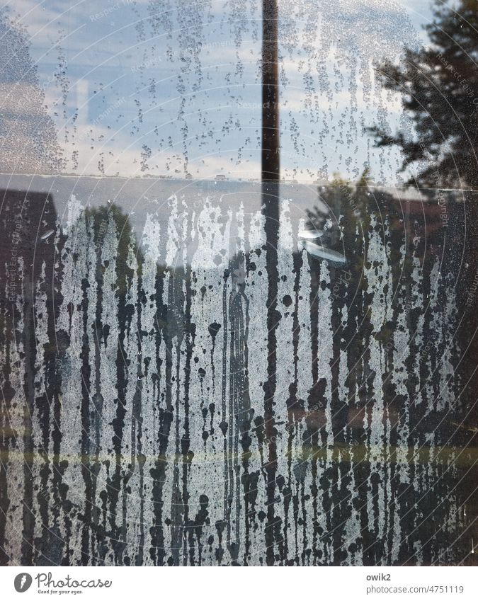 Field of view Glass Gloomy Wet Colour photo Structures and shapes Shallow depth of field Silhouette Long shot Window Drops of water Window pane Calm Patient