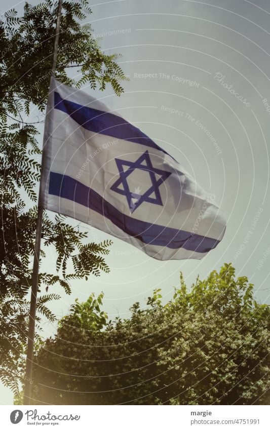 National - flag Israel Flag in the wind flagpole Long shot Central perspective Day Exterior shot Blow Flagpole Judaism Star of David Religion and faith White