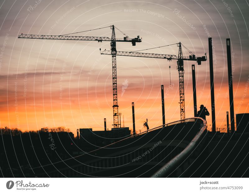 Construction cranes and bridge at sunset Dusk Play of colours Back-light Bridge Crane Sunlight Sunset Silhouette Contrast piers Curved Sky Urban development