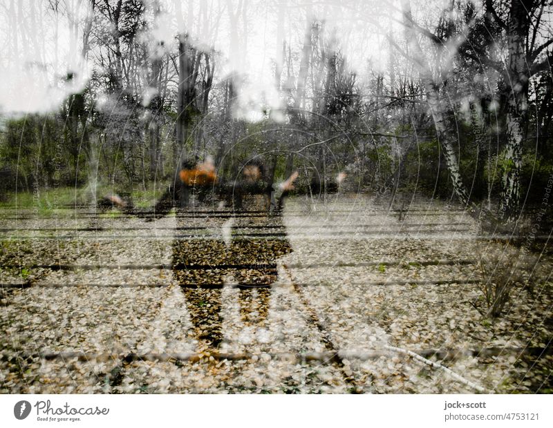 Keeping balance in all directions Woman rails Railroad tracks lost places bare trees defocused Autumn foliage crossed blurriness Reaction Silhouette