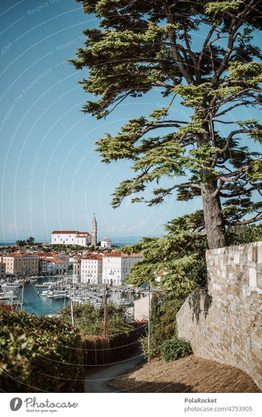 #A0# Piran from above Port City Town Building roofs piran Slovenia Old town Mediterranean Church Church spire Harbour Harbor city Tourism