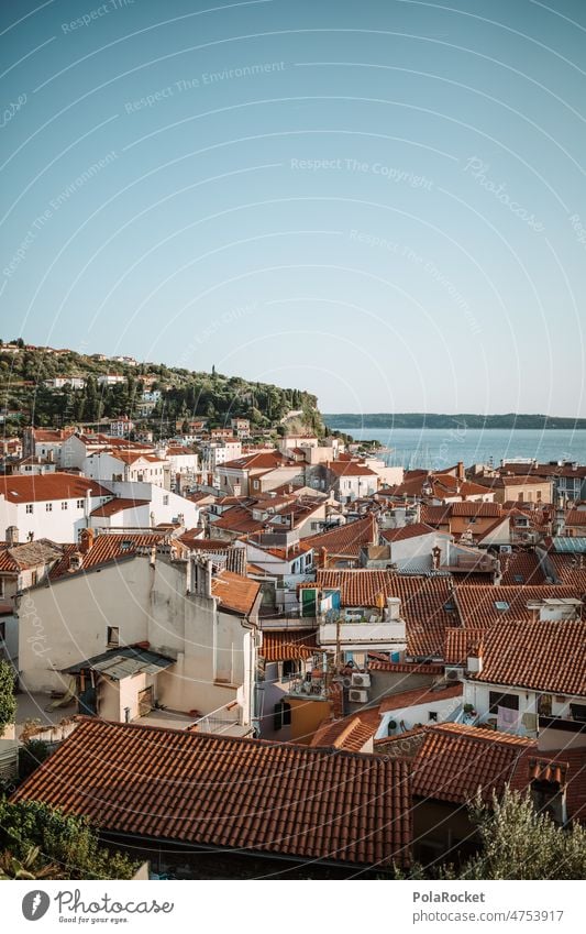 #A0# Piran piran Slovenia Old town Mediterranean roofs Building Town Port City