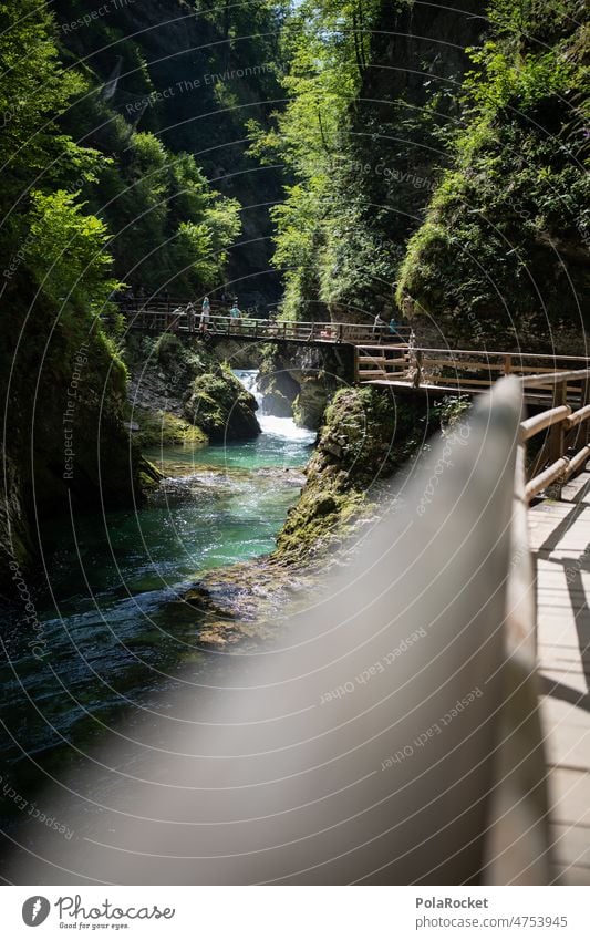 #A0# stream in Slovenia Brook Banks of a brook Lanes & trails Nature Footbridge Exterior shot Water