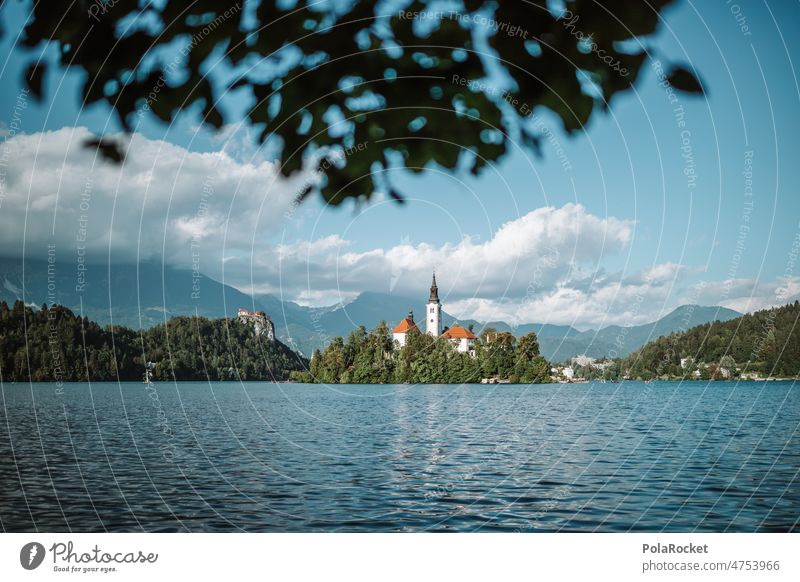 #A0# Are'e Bled? lake bled Lake Lakeside Water Slovenia Church Church spire Mountain lake Exterior shot Landscape Nature Island