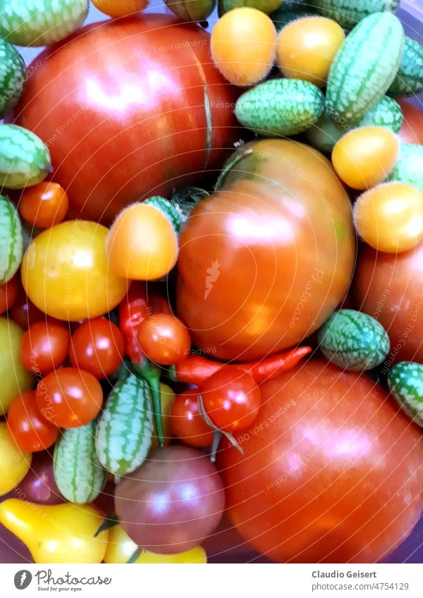 Tomatoes, cucumbers and chilies tomatoes Cucumbers Vegetable salubriously vegetarian Food Organic produce Garden Nutrition