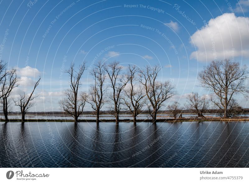 High water in the Teufelsmoor Sky Relaxation Lower Saxony Reflection reflection fair weather clouds Clouds Bremen devil's mire Deluge Hamme Flood