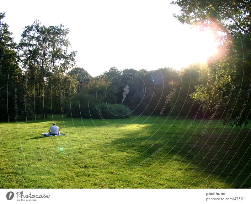 last days of summer Autumn Summer Park Light Sun man sit sitting autum