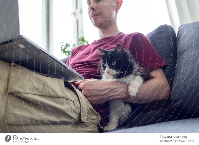 Man working on laptop with his cat man male pet stroke relaxing home computer person indoor technology lifestyle internet communication using office desk animal