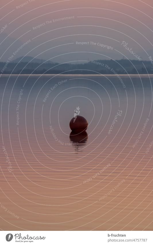 Red buoy in lake Buoy Wallersee Salzburg Salzburg Lake District Calm Water Lakeside Relaxation Idyll Beautiful weather Alps Dusk evening light