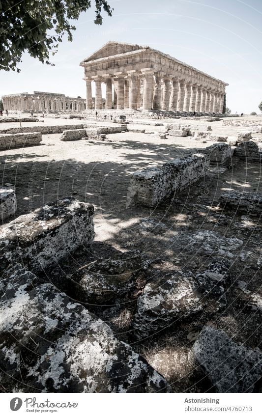 Paestum Campania Old Antiquity Old times stones Temple Historic History of the Weather Beautiful weather Italy Greek Tourism Exterior shot Architecture Ruin