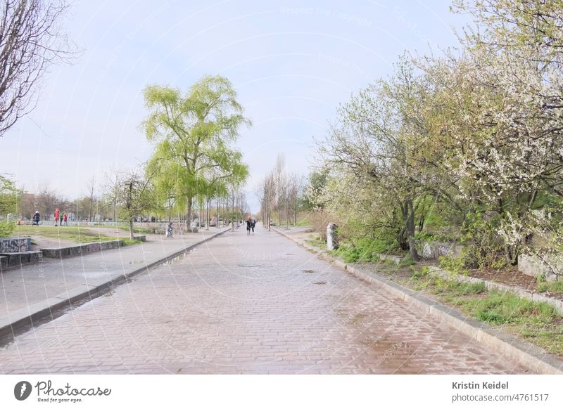 Path in the park with 2 people Park Street off Rain Blue sky Green Tree plants Nature Spring Sky Clouds summer rain