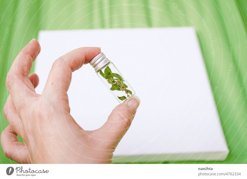 Hand holding a tiny bottle with a tiny plant inside it sustainability environment conept preserve conserve green specimen ecology botanical botany protect