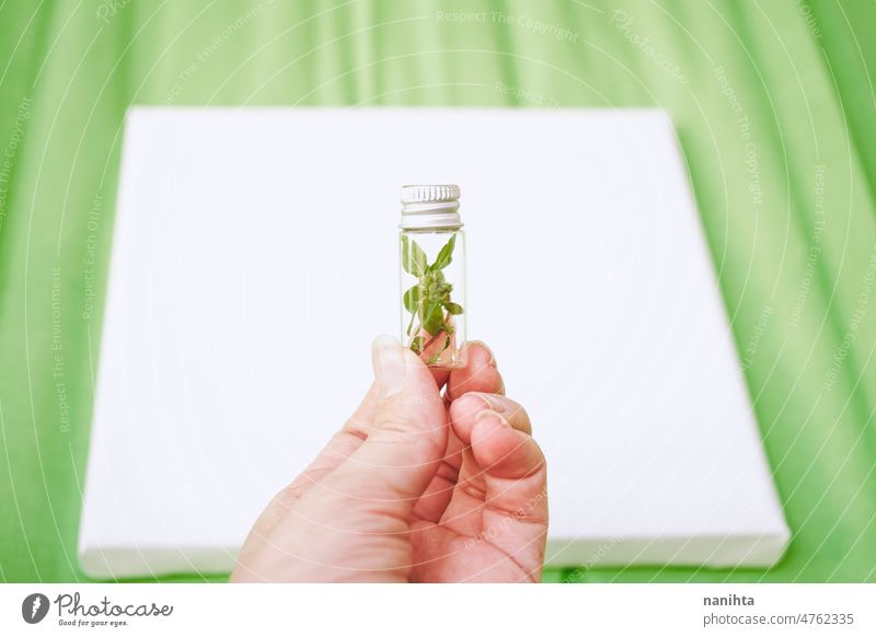 Hand holding a tiny bottle with a tiny plant inside it sustainability environment conept preserve conserve green specimen ecology botanical botany protect