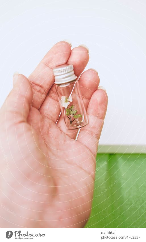 Hand holding a tiny bottle with a tiny plant inside it sustainability environment conept preserve conserve green specimen ecology botanical botany protect