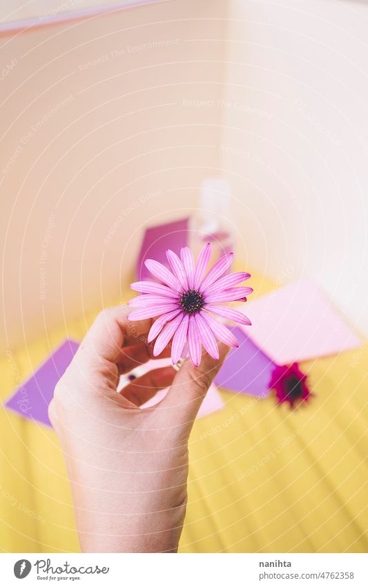 Still life of eco cosmetics with flowers in paper background design spring tiny bottle tonic lotion fragrance water springtime floral seasonal pop colorful