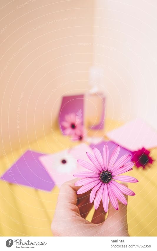 Still life of eco cosmetics with flowers in paper background design spring tiny bottle tonic lotion fragrance water springtime floral seasonal pop colorful