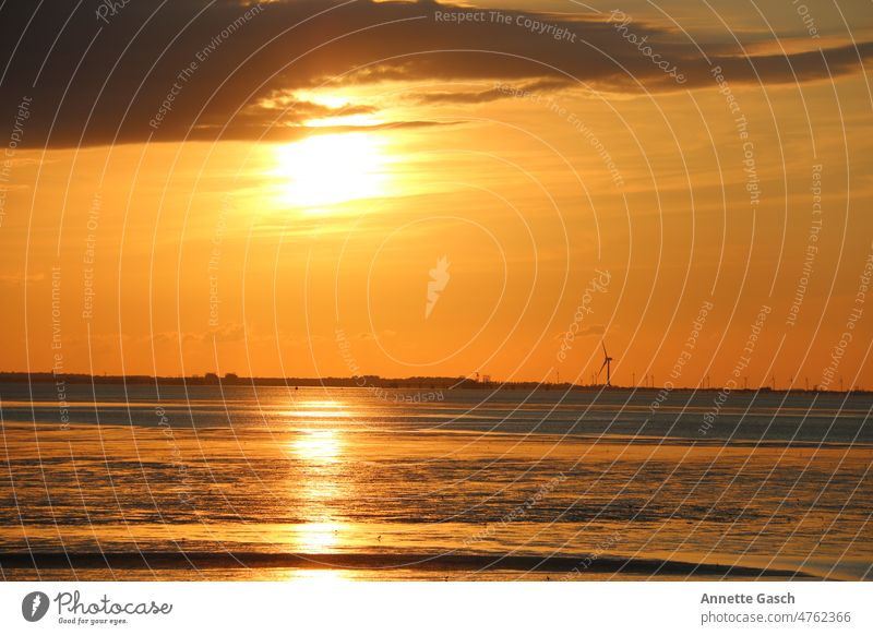 Sunset with view of Wilhelmshaven (from Tossens) Wilhlemshaven North Sea North Sea coast Mud flats Ocean