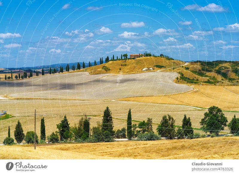 Rural landscape in Val d Orcia, Tuscany, Italy Asciano Europe Siena agriculture color country cypress day farm field green hill nature outdoor photography plant