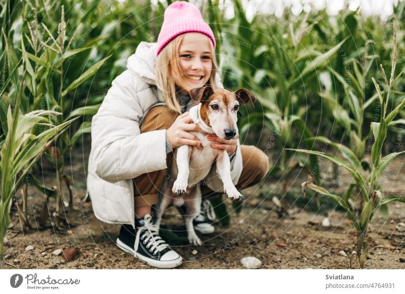 Happy teenage girl hugging her dog Jack Russell terrier in a field against a background of a cornfield in autumn teenager pink childhood pet people person