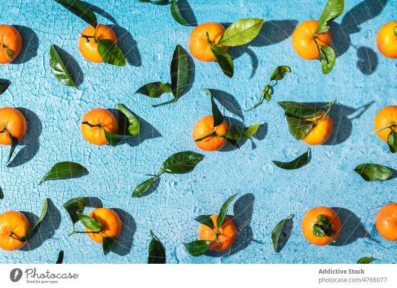 Tropical tangerines with leaves on blue surface leaf twig fruit row fresh ripe flat lay colorful background composition vitamin mandarin exotic citrus food