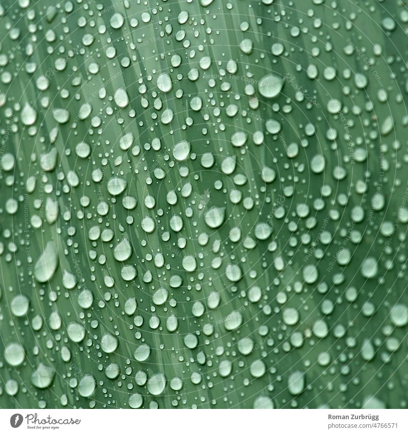 Dripping wet silo ball after the rain Drop drop of water Drops of water Rain Rainy weather Siloball Surface Wet dripping wet ness surface Close-up Weather