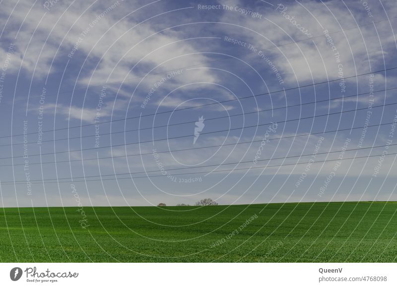 Green field with trees in background and power line Cable High voltage power line Field Grain field stream Environment Energy Power transmission high voltage