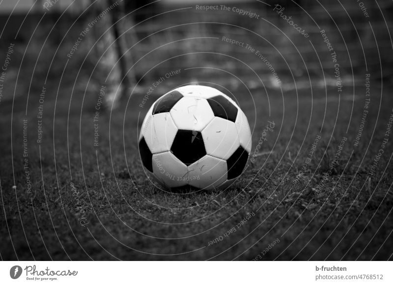 Penalty - soccer on a playing field with soccer goal Foot ball Sports Goal Playing Playground Soccer Goal soccer field Playing field Outdoors Meadow playground