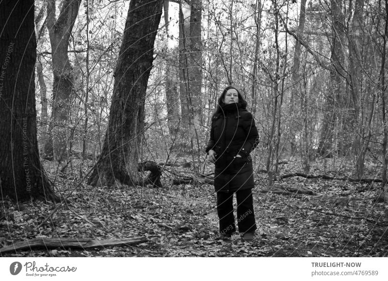 A middle-aged woman stands all alone and silent in a light forest, she seems to listen attentively to the conversation of the trees and to feel and absorb the energy of the forest floor.