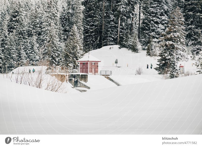 cozy dam Snow snow Winter winter wonderland Cold White Cozy mountains Switzerland Suisse suisa lenzerheide Mountain Calm Ice Alps Weather Environment Snowscape