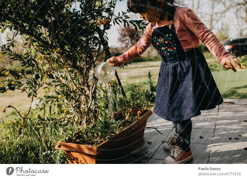 Cute girl watering plants Watering can Garden Gardening Child Girl 3-4 years Summer Day Nature Exterior shot Green Plant Human being Colour photo Authentic