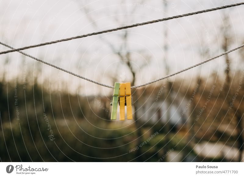 Clothespin hanging Hanging rope Washing day Laundry Dry Clothesline clothespin Colour photo Holder clothesline Copy Space Living or residing Rope Clothing