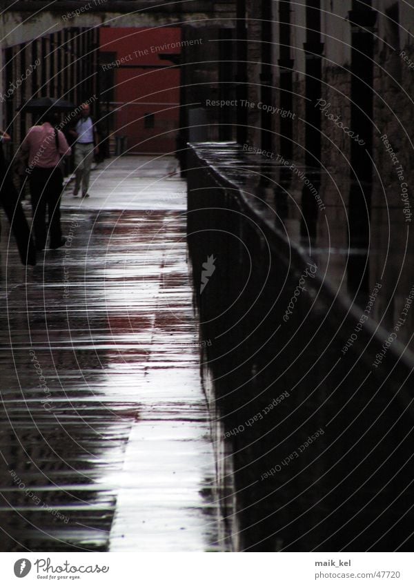 "He must come through this hollow alley..." Dark Alley Wet Back-light Damp Glittering Black Rain Lanes & trails Floor covering