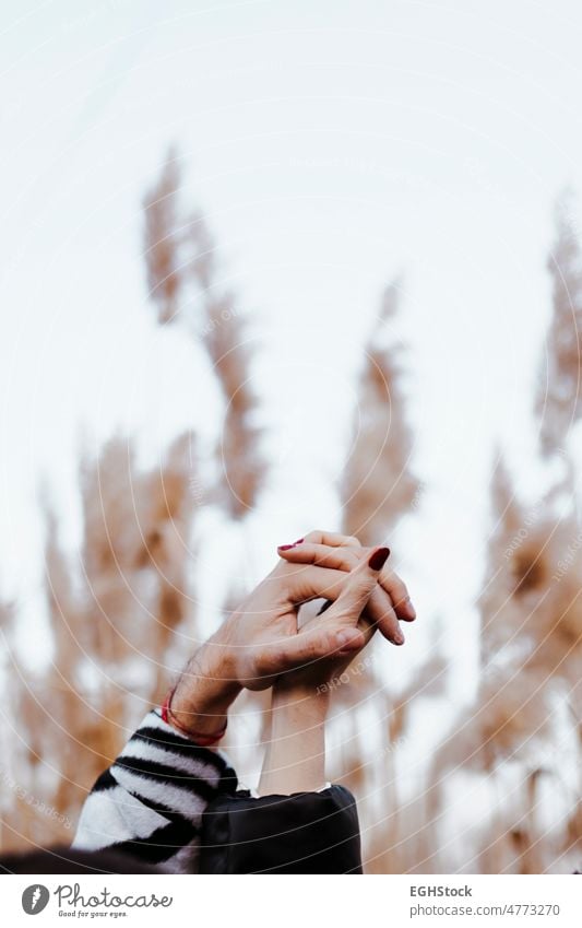 close-up of a couple's linked hands. Woman and man united lovers countryside togetherness connection friendship holding hands community cooperation teamwork