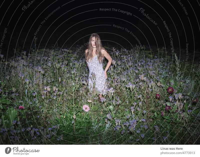 A gorgeous brunette girl in her pajamas can’t sleep. Wondering in summer night fields. Purple wildflowers and green leaves surround her. And her beauty surrounds everything else.