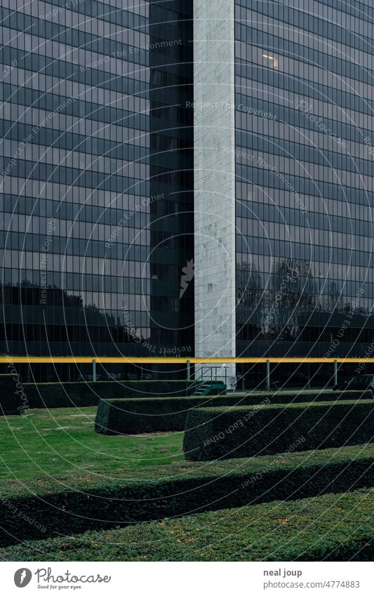 Gloomy skyscraper facade with graphically cut hedge plant Architecture Office building Steel and glass Glass Dark surface Anonymous somber structure Economy