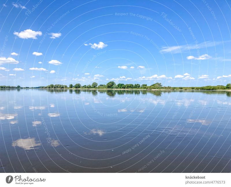 Elbe River Water Canoe Summer Reflection in the water tranquillity Nature Flow Blue Sky Lower Saxony