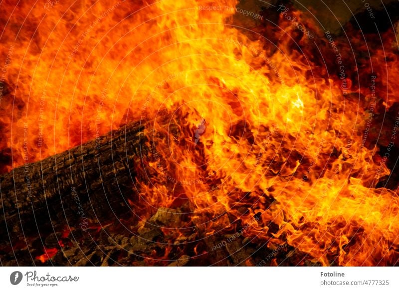 Flaming Inferno II - A tree trunk is engulfed in flames during an Easter fire. Fire Blaze Burn Flame Hot Warmth Yellow Night Orange Light Wood Black