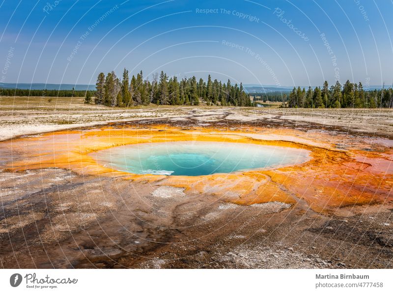 Panorama of the Turquise pool besides the Grand Prismatic Spring in the Yellowstone National Park, Wyoming yellowstone grand prismatic spring geyser basin