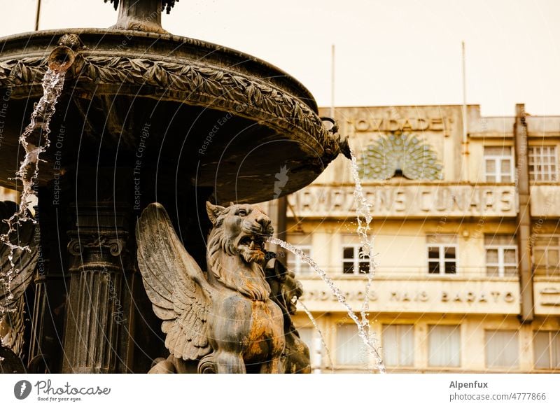 Spout Well Water Architecture Fountain Drops of water well water Water fountain Inject Deserted Day Exterior shot Refreshment Bubbling Refrigeration Fresh Wet